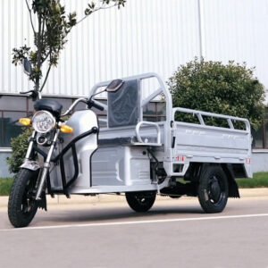 Cargo gasoline tricycle