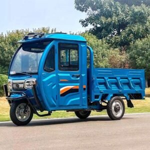 Electric cargo tricycle